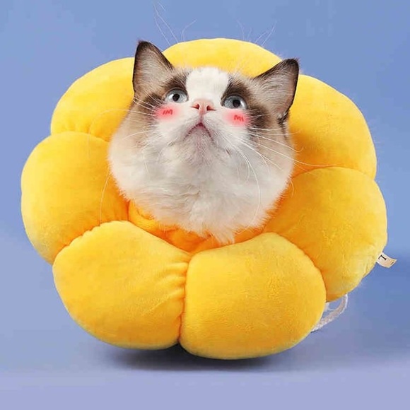 Sunflower Pet Recovery Neck Cone Collar - Picture 1 of 14